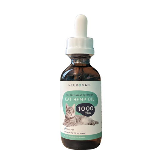 Cat CBD tincture- 1000 mg