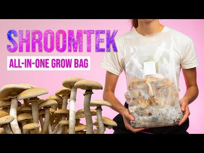 Mushroom Spore And Grow Kit Duo